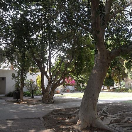 Almog Kibbutz Hotel Extérieur photo
