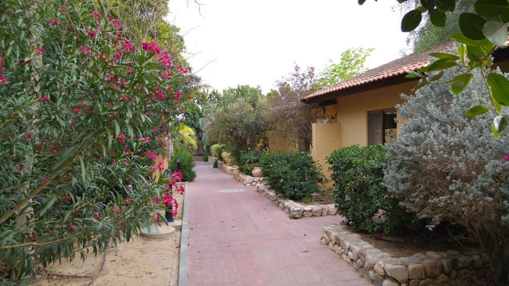 Almog Kibbutz Hotel Extérieur photo