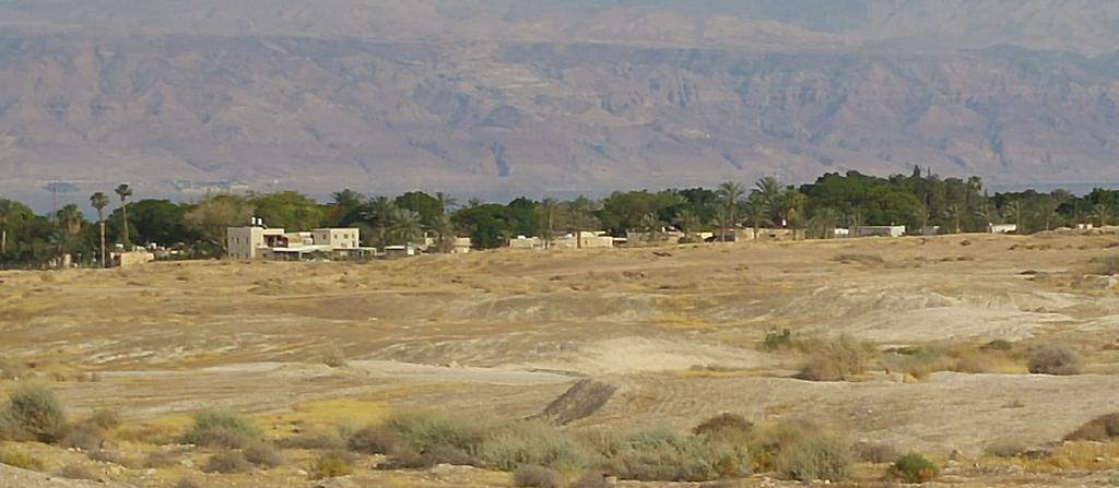 Almog Kibbutz Hotel Extérieur photo