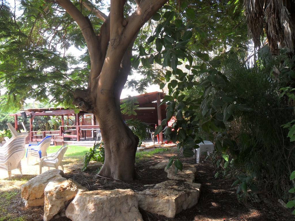 Almog Kibbutz Hotel Extérieur photo